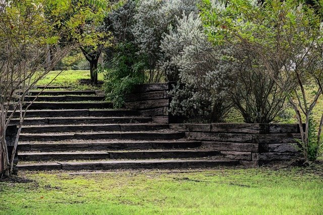 Reconnect with nature